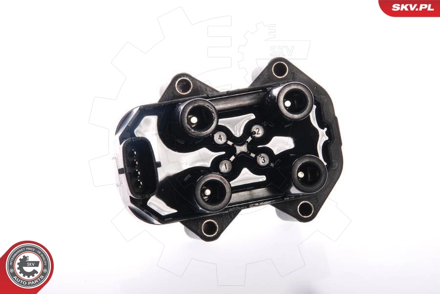 Ignition Coil